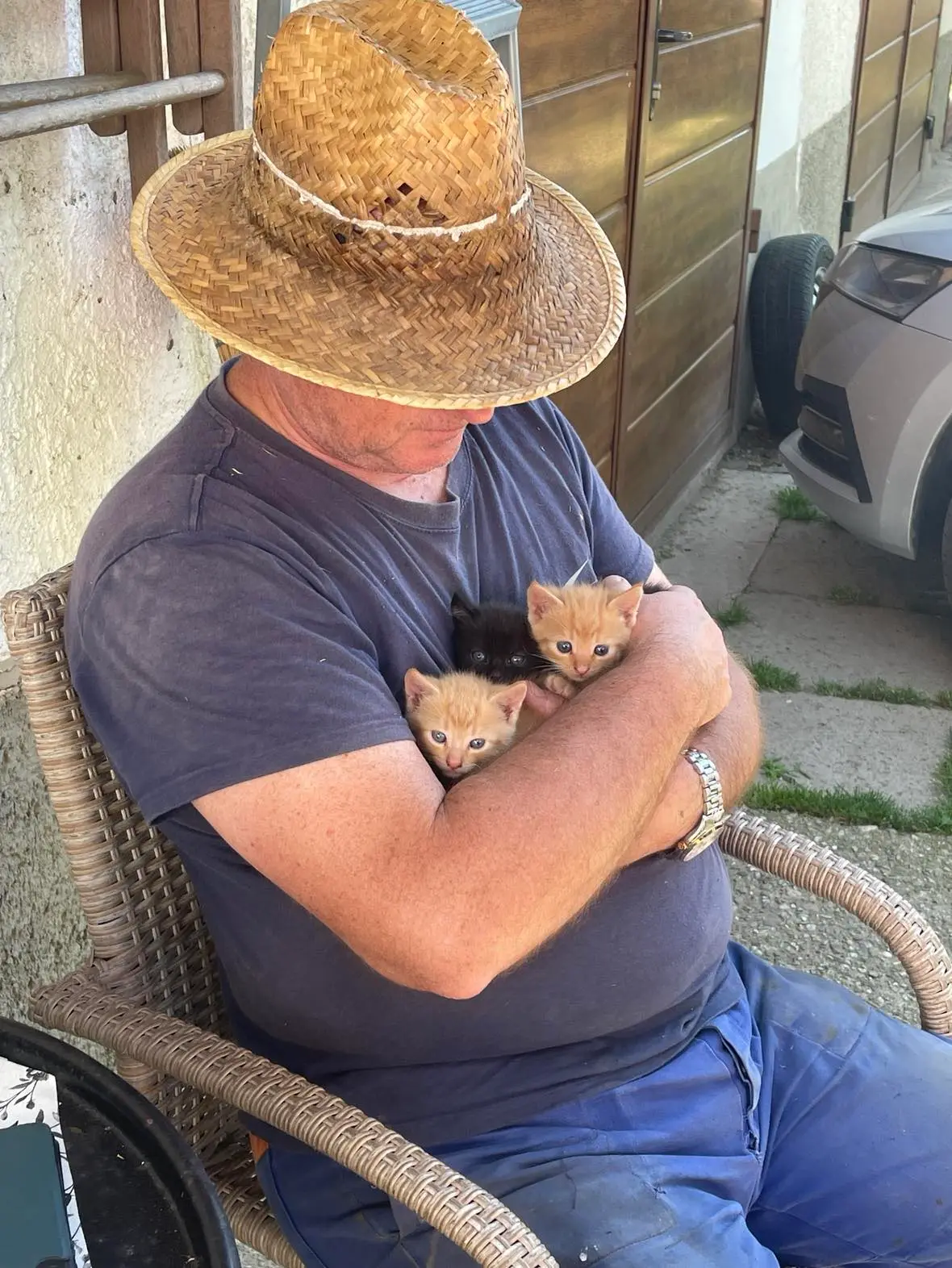 Tibor Filep with kittens